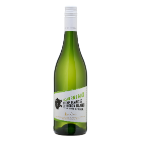 BELLA TERRA MOUSSEUX BRUT
